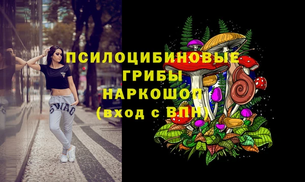 прущая мука Белокуриха