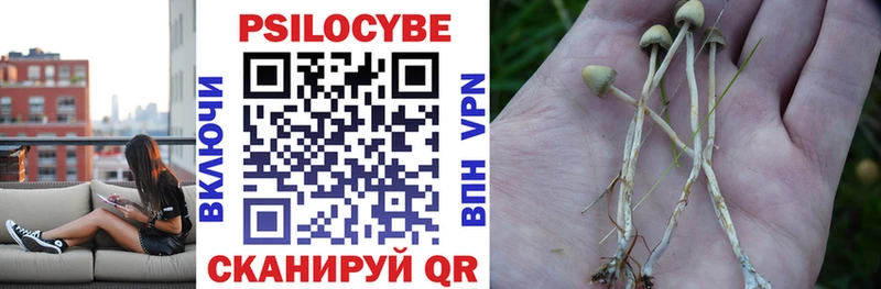 Галлюциногенные грибы прущие грибы  как найти закладки  Армавир 